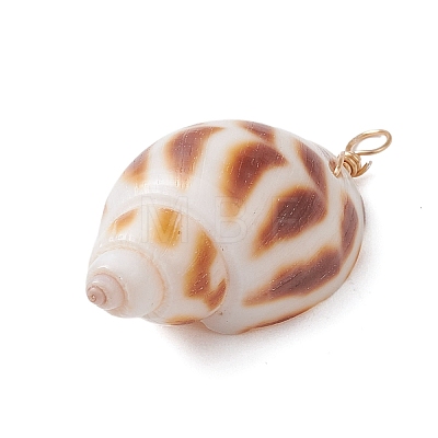 Natural Spiral Shell Pendants PALLOY-JF02949-1