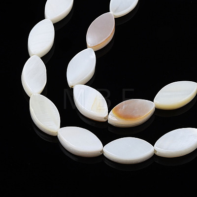 Natural Freshwater Shell Beads Strands SHEL-Q024A-017-1