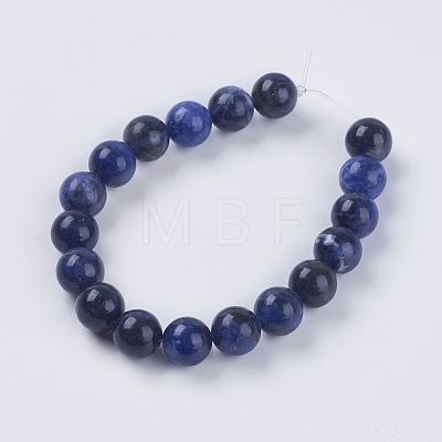 Natural Sodalite Beads Strands X-G-G515-10mm-07-1