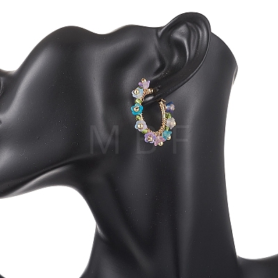 Transparent Acrylic Hoop Earrings EJEW-JE06954-1