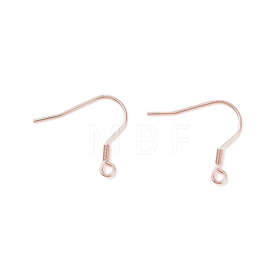 304 Stainless Steel Earring Hooks X-STAS-P221-04RG-1