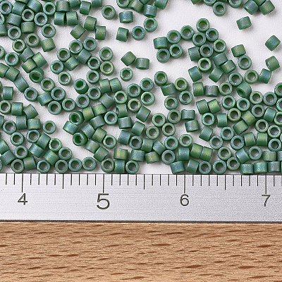 MIYUKI Delica Beads LS-X-SEED-J020-DB2311-1