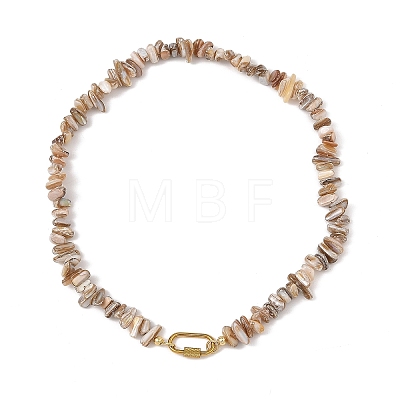 Natural Freshwater Shell Chip Beaded Necklaces NJEW-JN06412-1