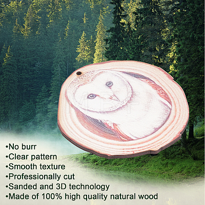 CREATCABIN 1 Set Flat Round & 3D Owl Pattern Wooden Pendant Decorations HJEW-CN0001-18-1