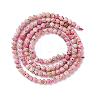 Natural Imperial Jasper Beads Strands G-L578-A06-1