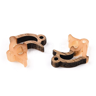 Opaque Resin & Walnut Wood Connector Charms RESI-N039-46D-1
