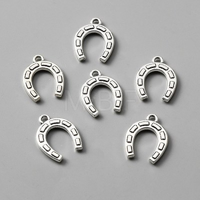 Tibetan Style Alloy Pendants FIND-CJC0007-47-1