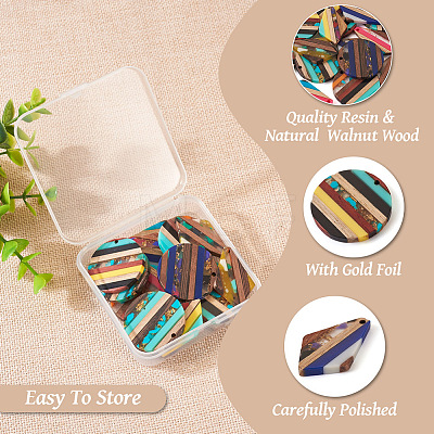  16Pcs 8 Style Transparent Resin & Walnut Wood Pendants RESI-TA0002-06-1