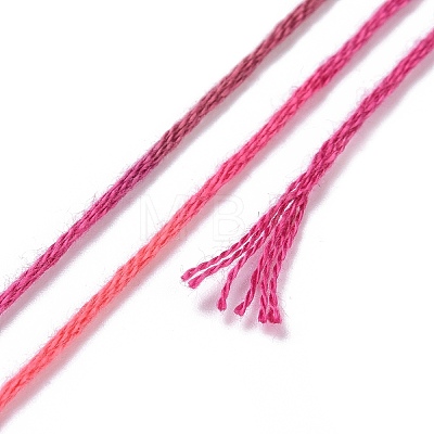 10 Skeins 6-Ply Polyester Embroidery Floss OCOR-K006-A56-1