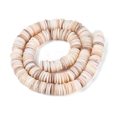 Natural Freshwater Shell Beads Strands SHEL-N037-03A-01-1