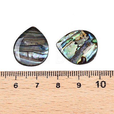 Natural Paua Shell Teardrop Cabochons SSHEL-T017-10-1