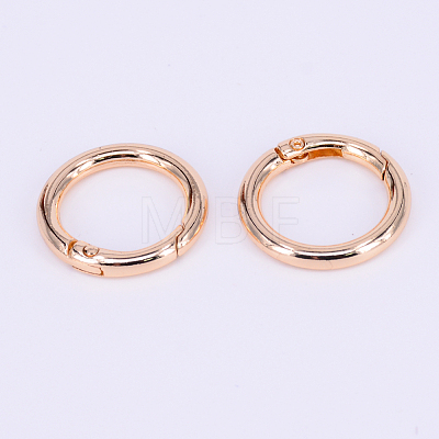 Zinc Alloy Spring Gate Rings PALLOY-WH0071-01B-LG-1