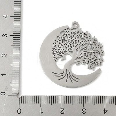 304 Stainless Steel Pendants X-STAS-V016-10P-1