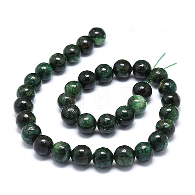Natural Fuchsite Beads Strands G-O201A-09C-1