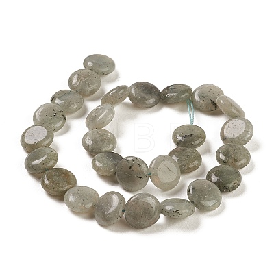 Natural Labradorite Beads Strands G-M403-C09-01-1