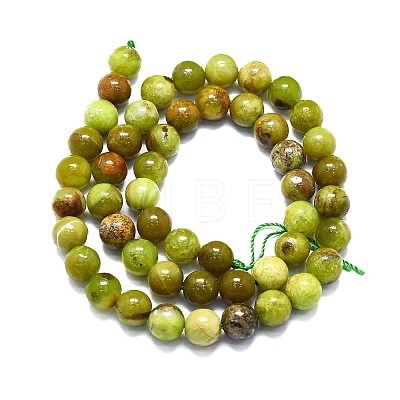 Natural Green Opal Beads Strands G-K245-A17-A04-1