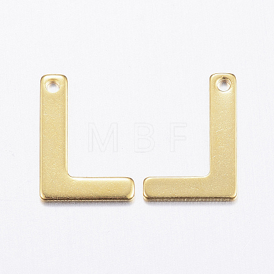 304 Stainless Steel Charms LS-X-STAS-P141-L-1