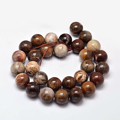 Natural Petrified Wood Round Bead Strands X-G-F266-08-12mm-1