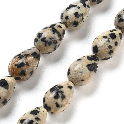 Natural Dalmatian Jasper Beads Strands G-B106-A29-02-1