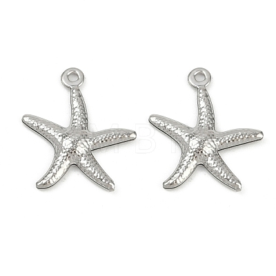 Ocean 304 Stainless Steel Pendants STAS-P390-01C-P-1