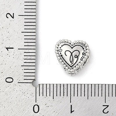 925 Sterling Silver European Beads STER-R005-02AS-01-1