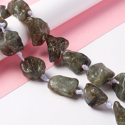 Natural Labradorite Beads Strands G-B024-12-1