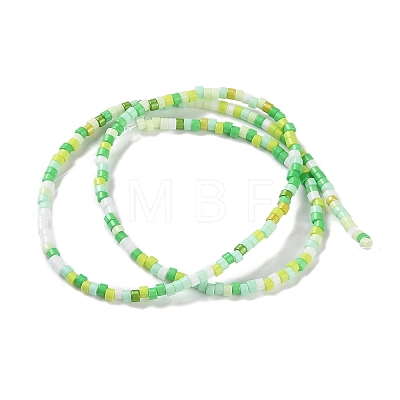 Handmade Czech Lampwork Beads Strands LAMP-L078-008A-1