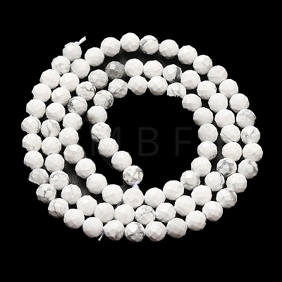 Natural Howlite Beads Strands G-E608-A01-C-1