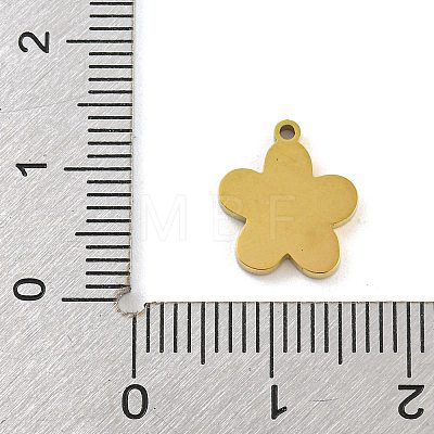 316 Surgical Stainless Steel Enamel Charms STAS-M073-29A-01G-1