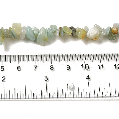 Natural Flower Amazonite Chips Beads Strands X-G-M205-12-01-1