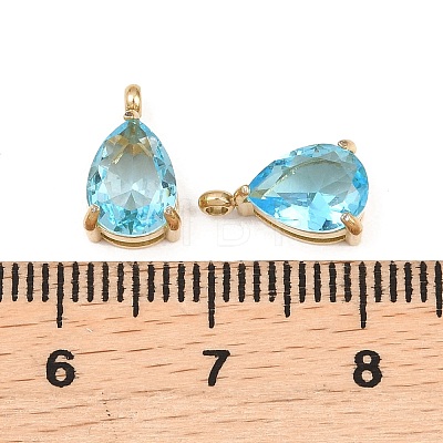 304 Stainless Steel Pendants STAS-L022-058G-11-1