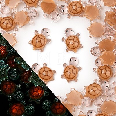 Luminous Resin Cabochons LS-RESI-U003-03E-1