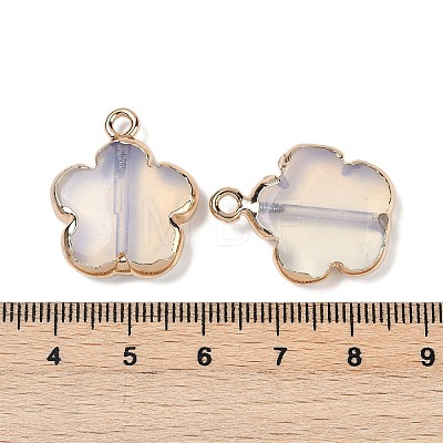 Opalite Pendants G-P566-01G-03-1