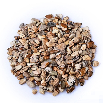 Natural Picture Jasper Tumbled Chips PW-WGA7DCE-23-1
