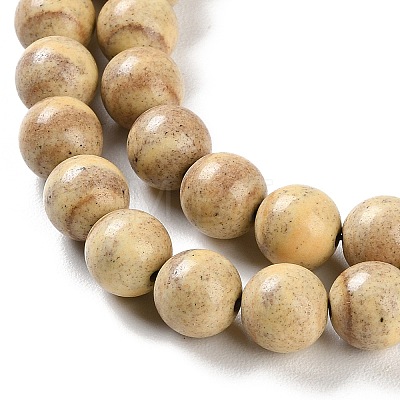 Natural Rainbow Alashan Agate Beads Strands G-NH0022-A06-02-1