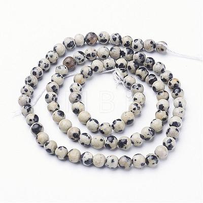 Natural Dalmatian Jasper Beads Strands GSR4mmC004-1
