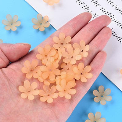 Transparent Acrylic Beads MACR-S373-107-D01-1