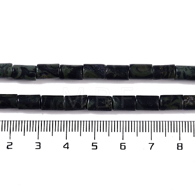 Natural Kambaba Jasper Beads Strands G-C128-A07-01-1