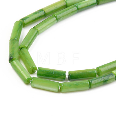 Natural Freshwater Shell Beads Strand SHEL-T017-40-1