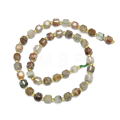 Natural Lodolite Quartz Beads Strand G-I376-D48-01-1