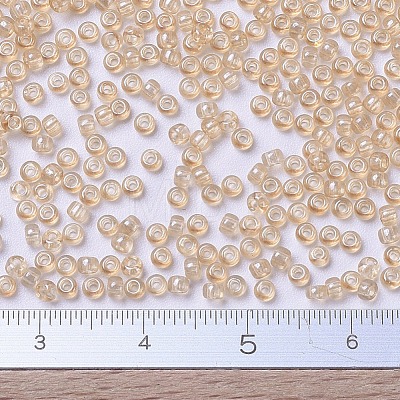 MIYUKI Round Rocailles Beads X-SEED-G007-RR0161-1