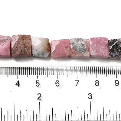 Natural Rhodonite Beads Strands G-C109-A03-01-1
