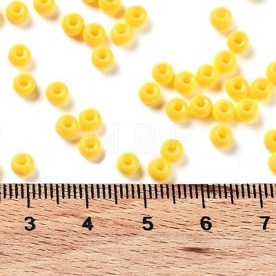 Baking Paint Glass Seed Beads SEED-H002-I-B502-1