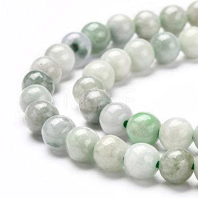 Natural Jadeite Beads Strands G-L568-001D-1