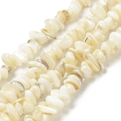 Natural Shell Beads Strands BSHE-G029-01B-1