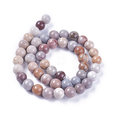 Natural Fossil Coral Beads Strands G-L500-02-6mm-1