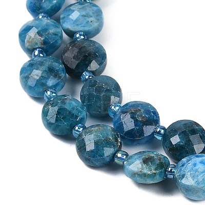 Natural Apatite Beads Strands G-B094-A26-01-1