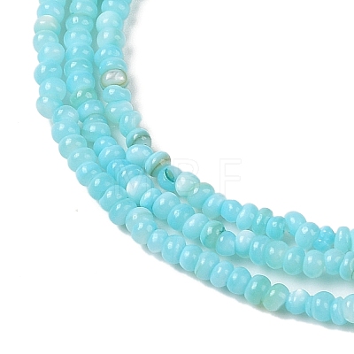 Natural Freshwater Shell Beads Strands SHEL-P017-01A-03-1