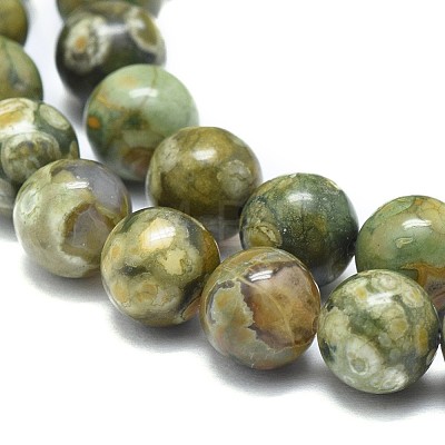 Natural Rhyolite Jasper Beads Strands G-F674-03A-8mm-1