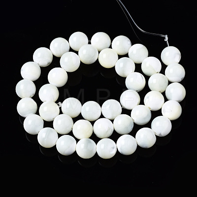 Natural Trochid Shell/Trochus Shell Beads Strands SSHEL-S266-023A-04-1